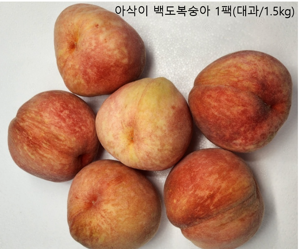 이미지2